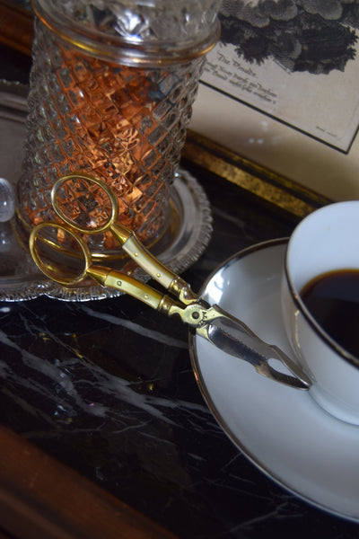 Victorian Mother - of - Pearl and Brass Sugar Nips, 19th Century - Loft of Echoes